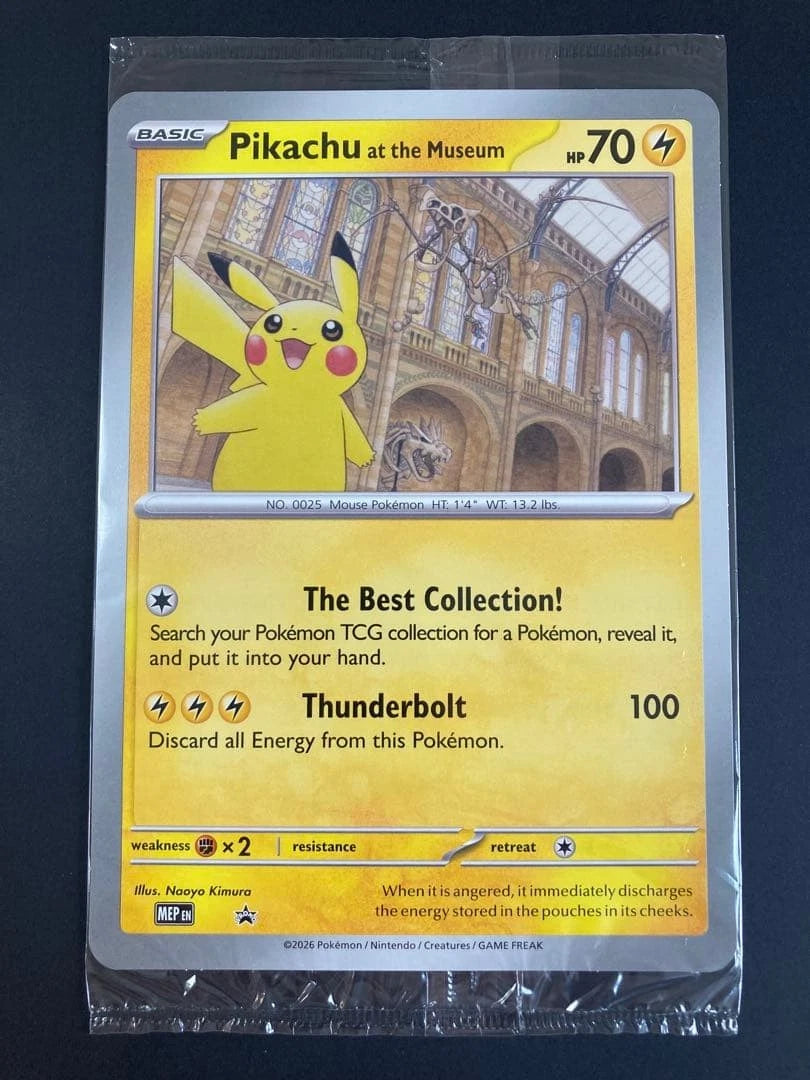 Pokemon Pikachu at the Museum XXL